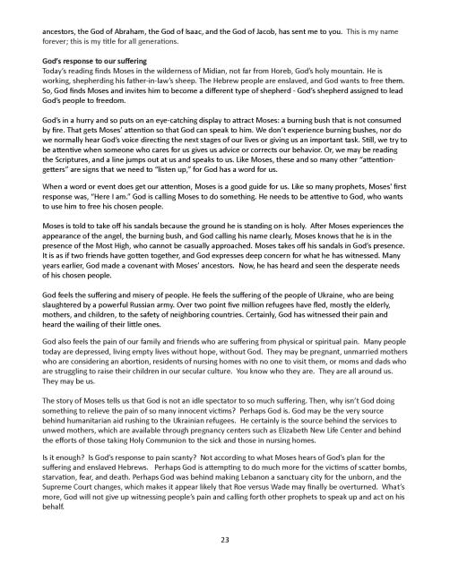 Homilies from past years 6 2 2025 Page 023